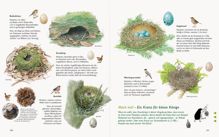 Produktbild Wawra's Naturbuch, Band 1: Säugetiere, Vögel, Reptilien, Amphibien (Deutsch, Johannes Wawra, Ursula Wawra, 2020)