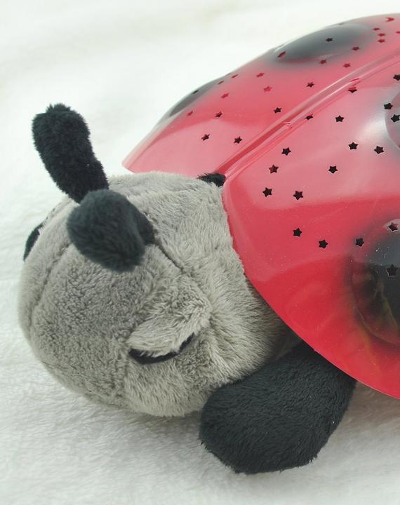 Productafbeelding Cloud B Twilight Ladybug Classic