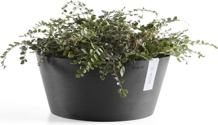 Actual product image Ecopots Frankfurt (30 cm)