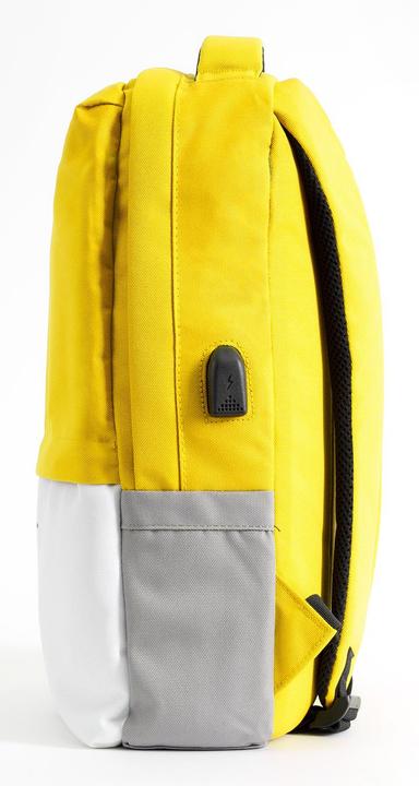 Actual product image Pantone PT-BK102Y 15.6' Notebook Backpack