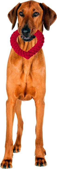 Produktbild Laboni Hertha Heart (Apportieren, Kauspielzeug Hund, Wurfspielzeug Hund)