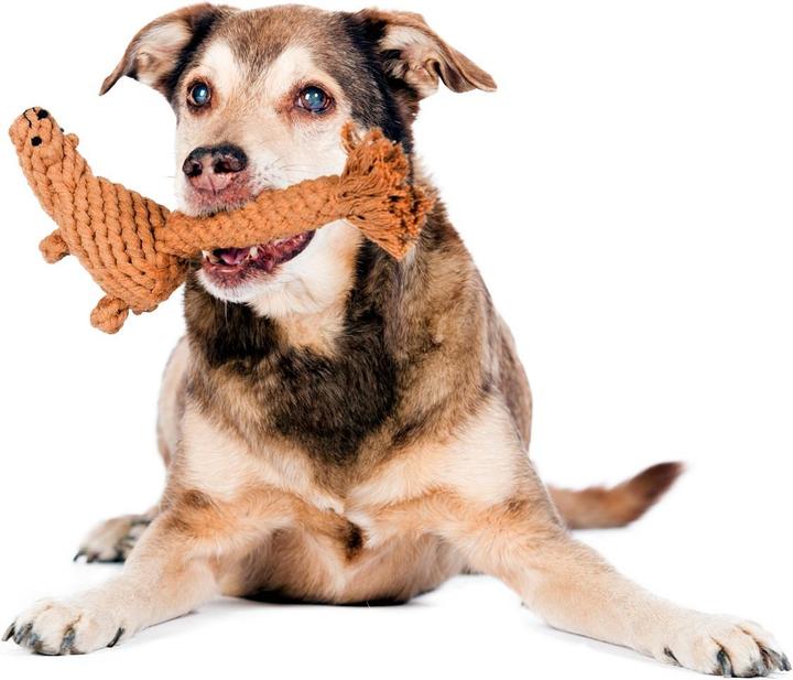 Image du produit Laboni Eddie Eichhorn (Apporter, Jouet à mâcher pour chien, Jouet à lancer chien)