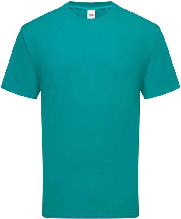 Actual product image Fruit of the Loom Mens Ringspun Premium T-Shirt (L)