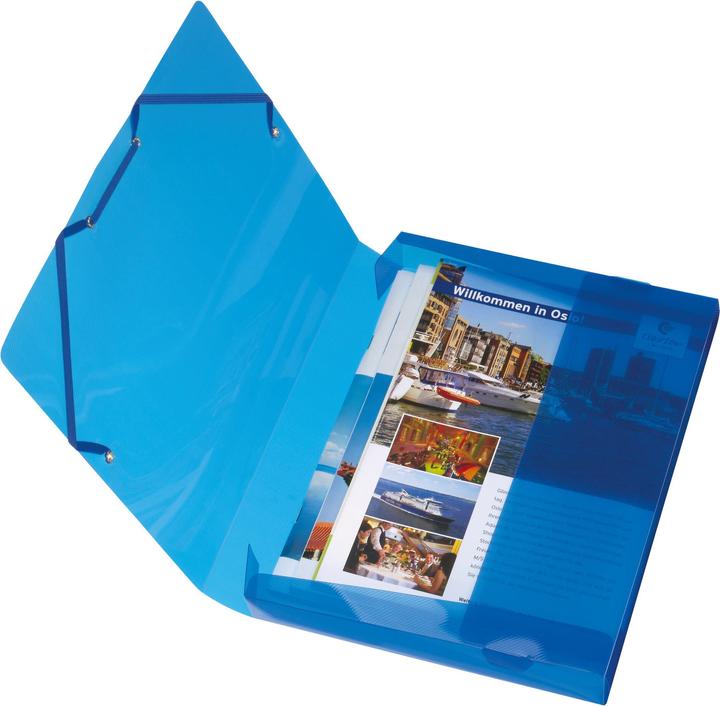 Actual product image Herlitz File box, DIN A4, made of PP, translucent-blue spine width: 40 mm, dimensions: (W)250 x (D)40 x (A4, 1 x)