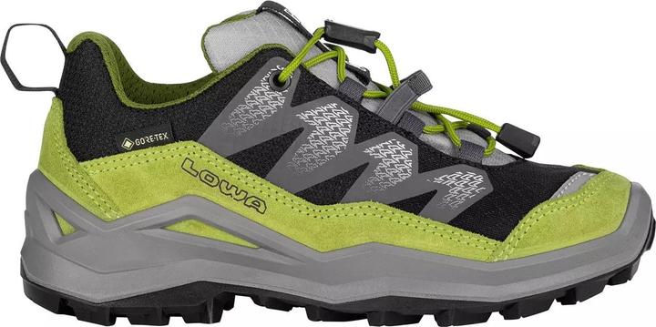 Produktbild Lowa Maddox Pro GTX LO (29)