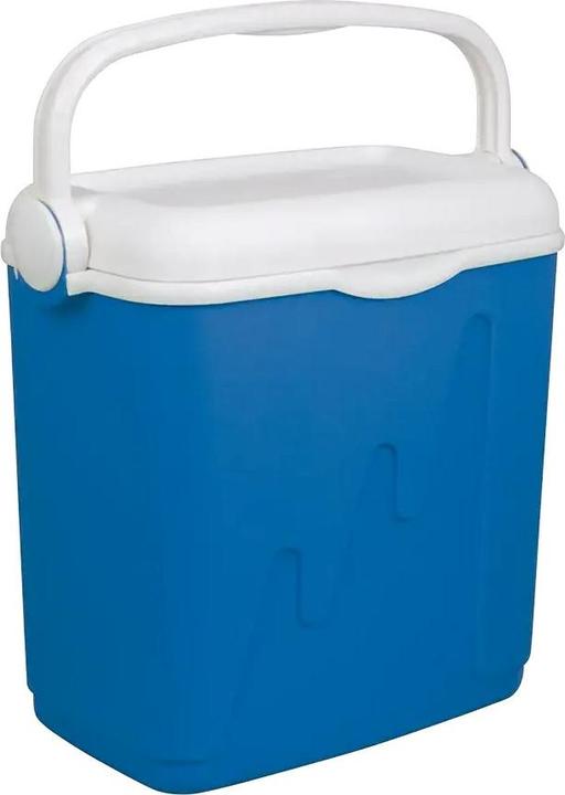Actual product image Curver TOURIST Fridge 32L (32 l)