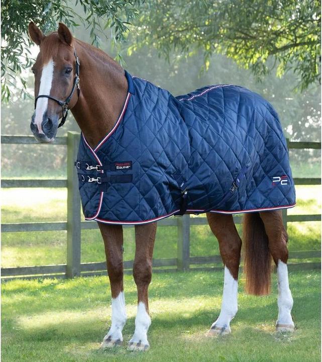 Actual product image Premier Equine Tuscan 100 g (183 cm)