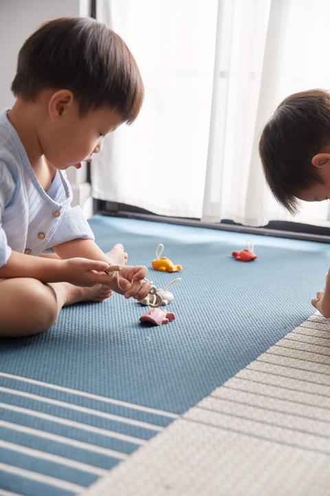 Immagine prodotto Plantoys Gioco di pesca (Inglese, Tedesco, Francese, Italiano, Svizzero-tedesco)