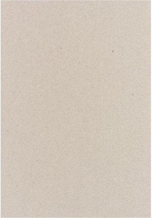 Actual product image Elco Insert cardboard grey C4 (23 x 32 cm, 10 x)