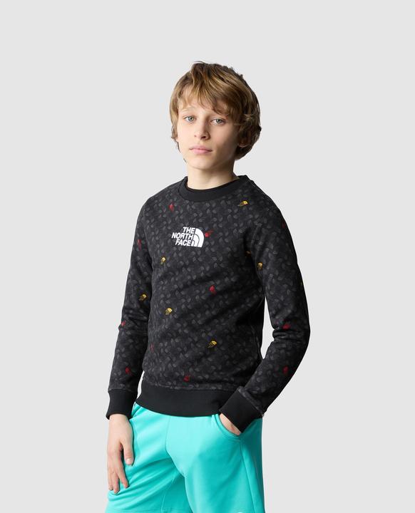 Image du produit North Face Imprimé Garçon Drew Pealight Crew (S)