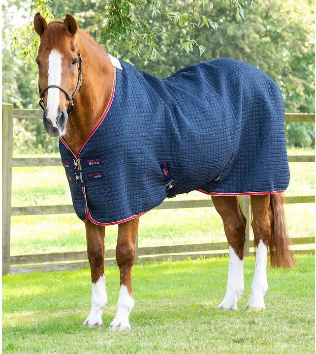 Produktbild Premier Equine Walker 0 g (206 cm)