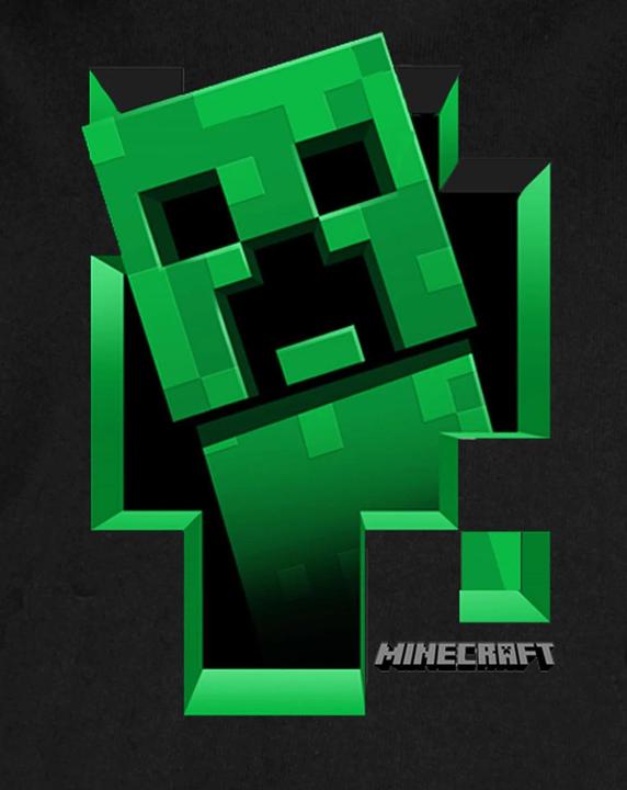 Image du produit Minecraft Boys Creeper Inside Hoodie (128)