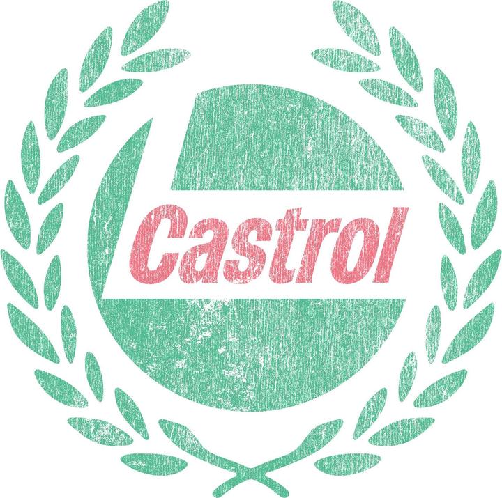 Actual product image Castrol Unisex Adult Wreath T-Shirt (M)
