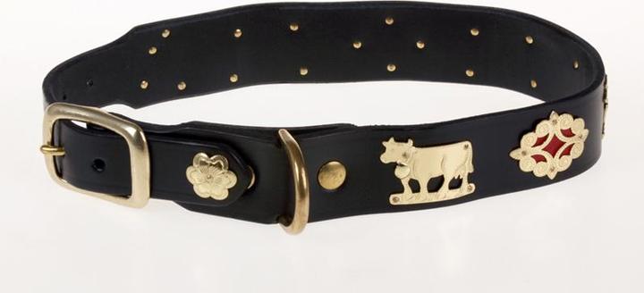 Produktbild Jenni Hemden Appenzellerhundehalsband 3,5cm (Hund, Spazieren)