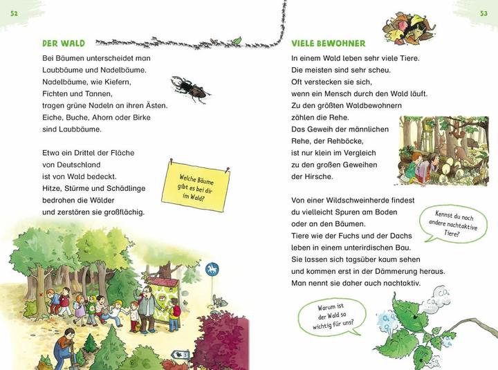 Produktbild Duden Leseprofi – Spannende Sachgeschichten für wissbegierige Erstleser, 2. Klasse (Deutsch, Christina Braun, Barbara Scholz, Stefanie Scharnberg, 2021)