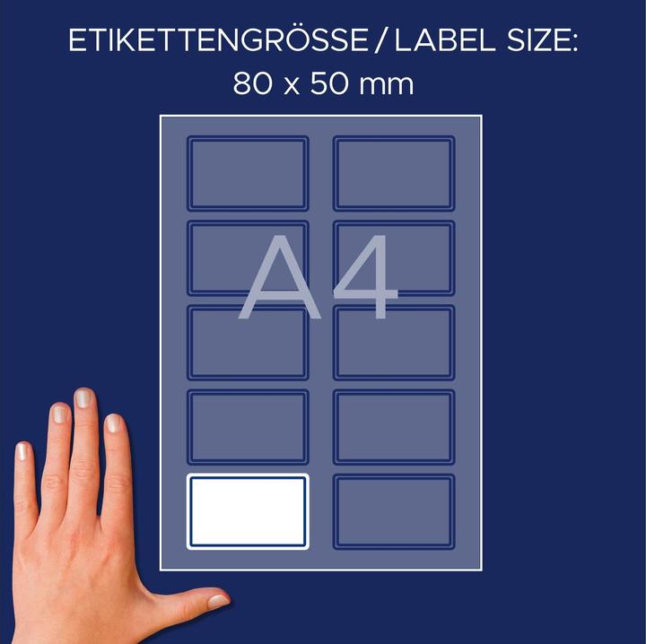 Image du produit Avery Etiquettes nominatives 80 x 50 mm, 20 Blatt