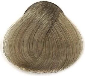 10,1 Platinblond Asch