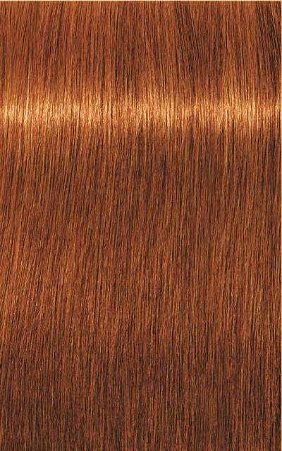 Actual product image Schwarzkopf Professional Igora Royal Absolutes Age Blend (7-70 Medium Blonde Copper Natural)