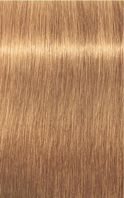 Image du produit Schwarzkopf Professional Igora Royal Absolutes Age Blend (9-50 Extra Light Blonde Gold Natural Gold Natural)
