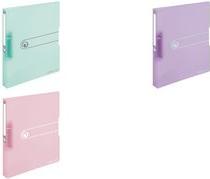 Actual product image Herlitz Ring binder easy orga to go Pastel, A4, 2-ring, mint-transparent, Pastel series, D-Combi mechanism (A4, 38 mm, 1 Piece)