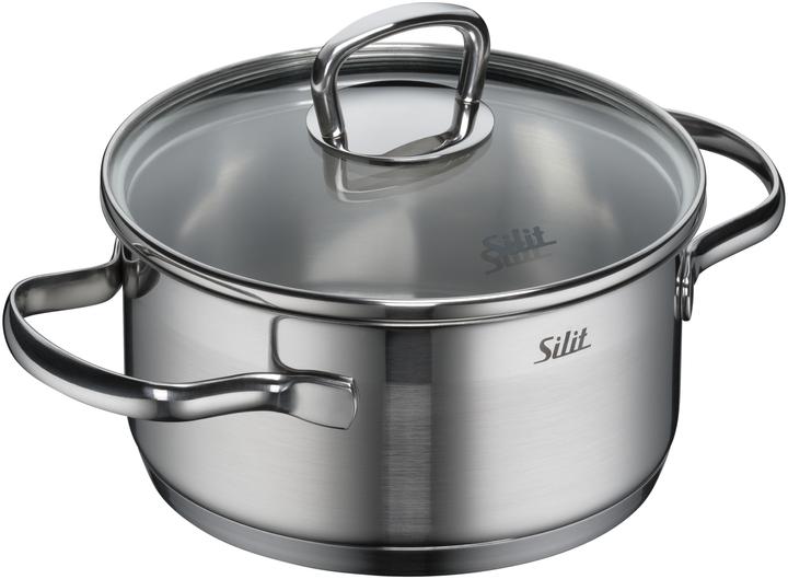 Silit Saucepan Set Induction Cooking Saucepan Set 4pcs Glass Lid Tuscany Stainless Steel (20 cm, Pan set + pot set, Stainless steel)