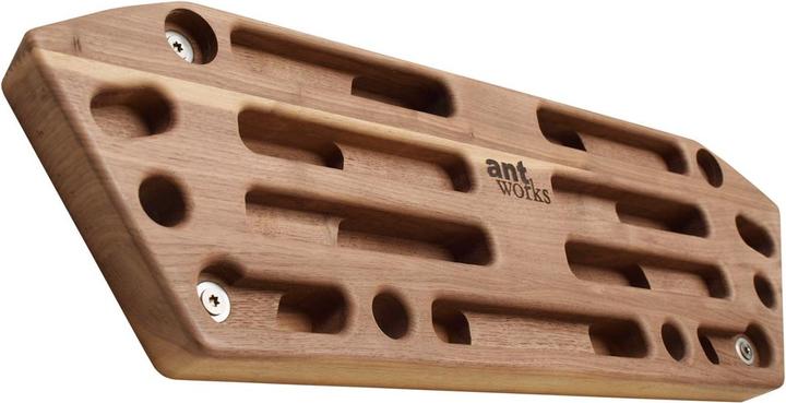Produktbild Antworks Strong Ant III dark Fingerboard