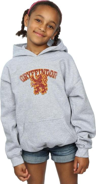 Actual product image Girls Gryffindor Sport Emblem Hoodie (140, 146)