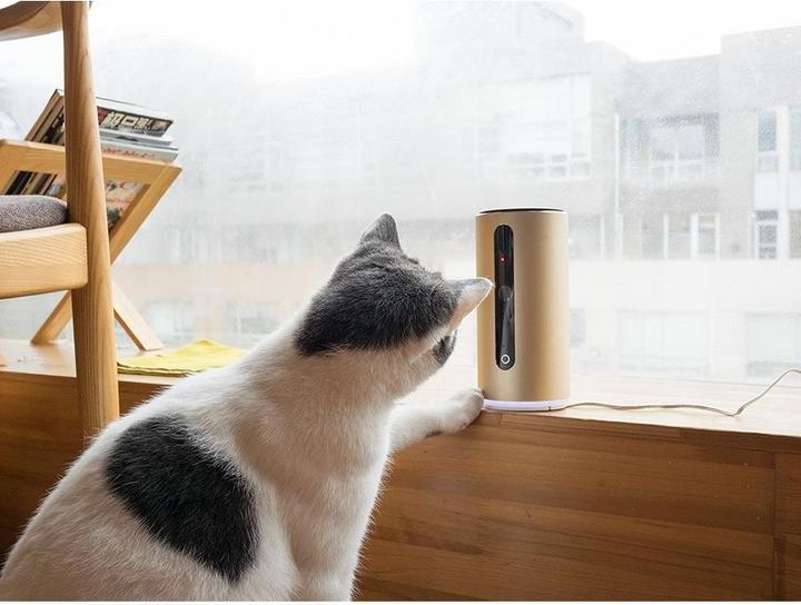 Image du produit Petkit Mate