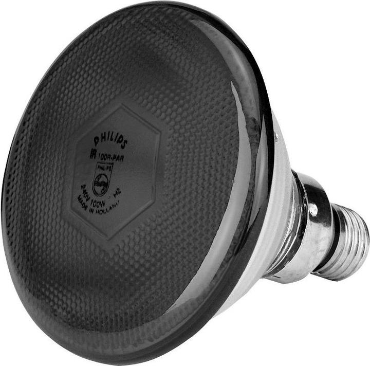 Actual product image Philips 22302 Economy lamp, 100 W, red (100 W)