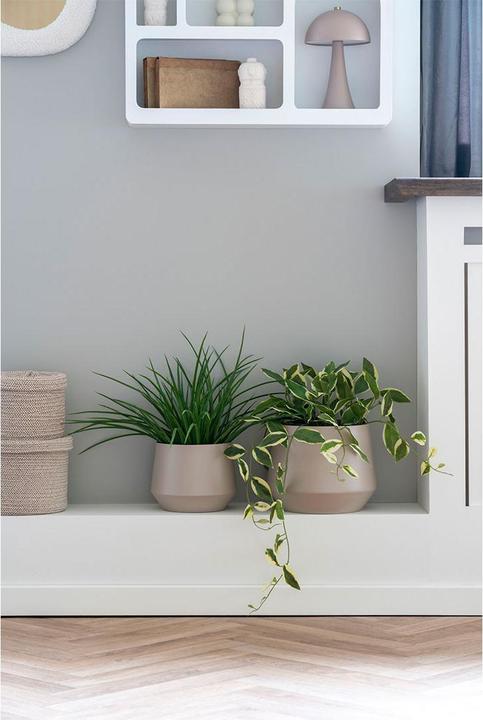 Actual product image House Nordic Grass (45 cm)