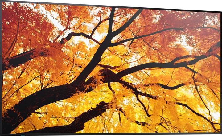 Produktbild NEC Sharp Large Format Display M552 (3840 x 2160 Pixel, 55")