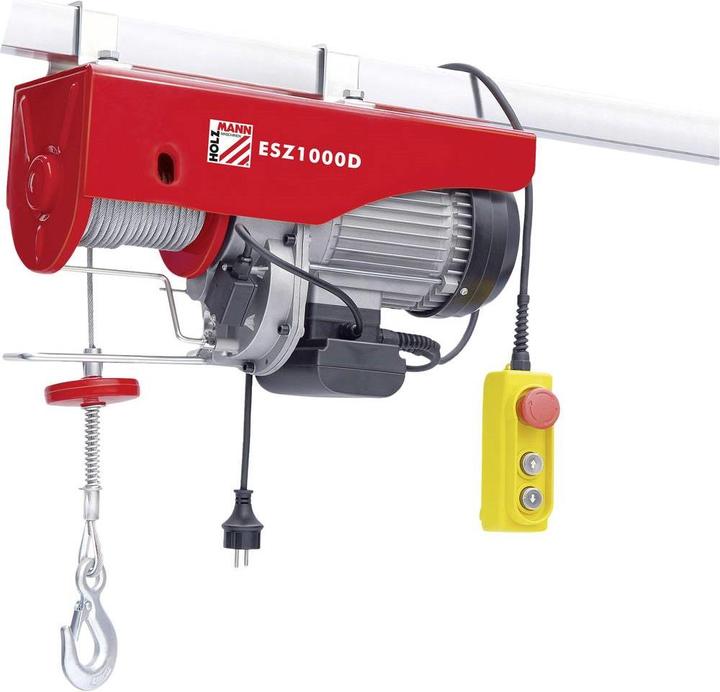 Actual product image Holzmann ESZ1000D 230V Electric Sei