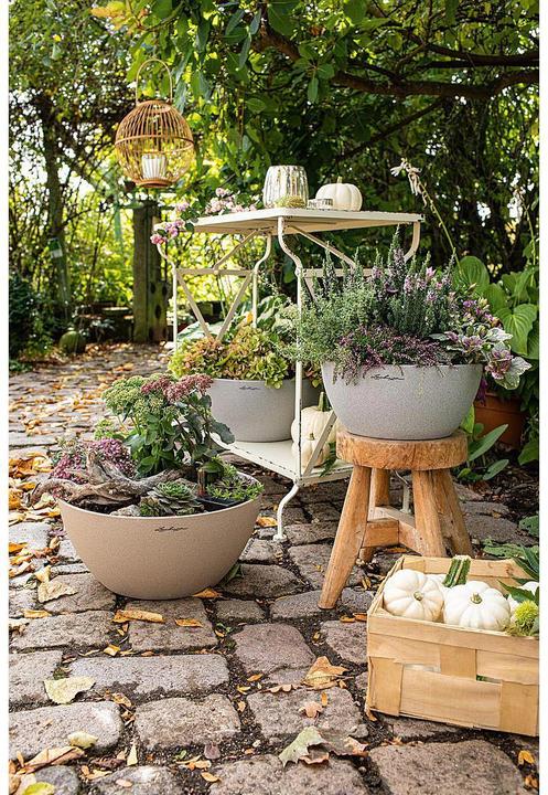 Image du produit Lechuza Cubeto Color (30 cm)