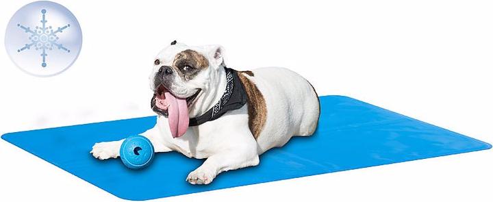 Actual product image Sweetypet Cooling mat (Dog)