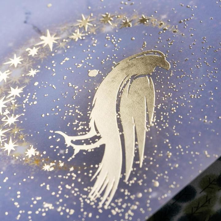 Actual product image Ravenhall Academy 1: Hidden Magic (Julia Kuhn, German)
