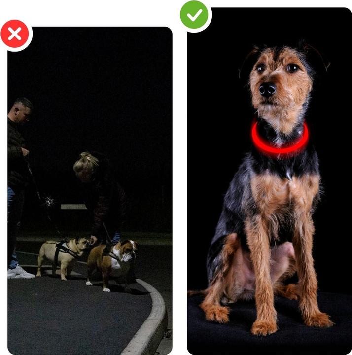 Produktbild Hermex LED-Leuchthalsband Sicherheits-Hundehalsband Hundehalsband Schlauchhalsband (Hund, Allgemein, Hundesport)