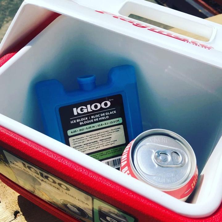 Image du produit Igloo Playmate Mini - Petite boîte à eau - 3,8 litres - bleu (3.80 l)