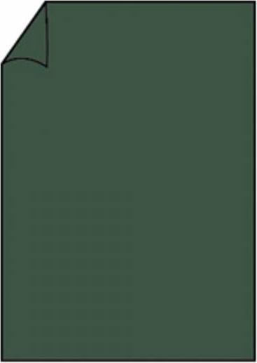Actual product image Magni Stationery Coloretti A4 80g 10sheet forest (10 pcs.)
