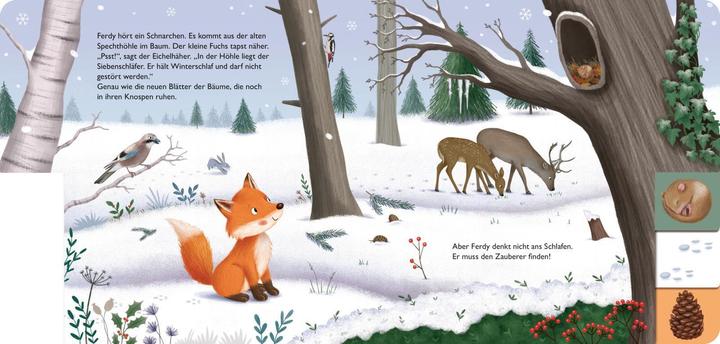 Image du produit Mon premier livre de saisons : Ferdy, le petit renard (Allemand)
