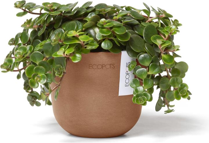 Produktbild Ecopots Oslo Mini (16 cm)