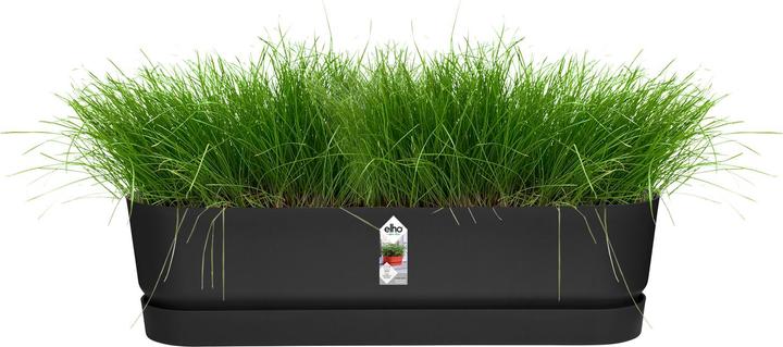 Produktbild Elho Greenville (19.50 cm)