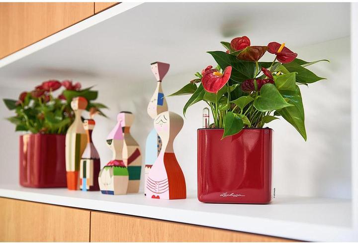 Immagine prodotto Lechuza Cubo lucido 14 (14 cm)