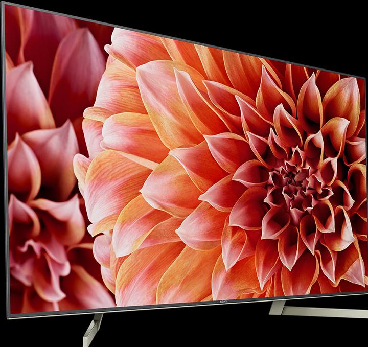 Immagine prodotto Sony Kd-49xf9005 (49", LCD, 4K, 2018)