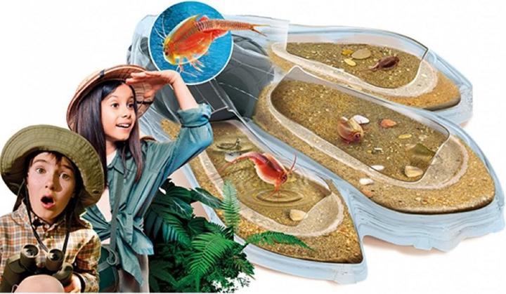 Produktbild Clementoni Triops Maxi de Luxe