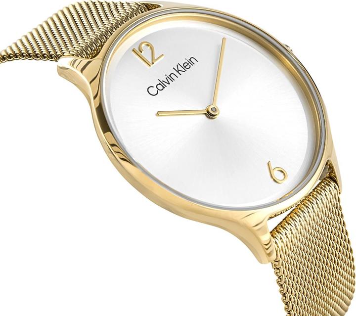Image du produit Calvin Klein Timeless Mesh Damenuhr 25200003 + BOX (Montre analogique)