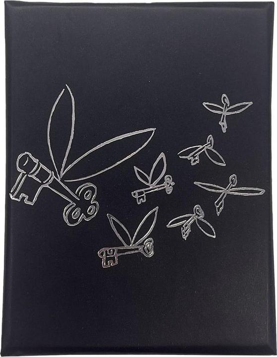 Produktbild Fanattik Harry Potter Halskette & Anhänger Flying Key