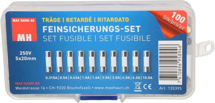 Image du produit Max Hauri Fine-wire fuse set (Microfusible, 10 A, Paresseux)