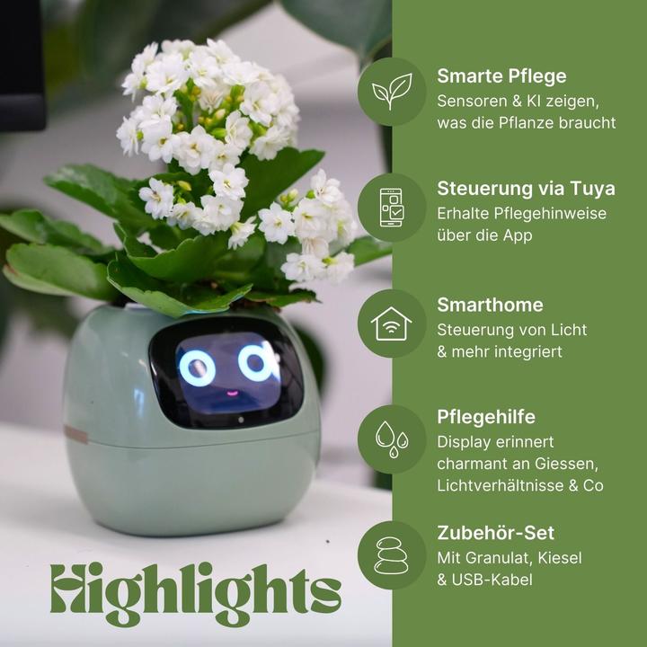 Actual product image Hermex Smart Plant Pot Electronic flower pot USB plant planter Smart flower pot Ivy Smart Planter (11 cm)