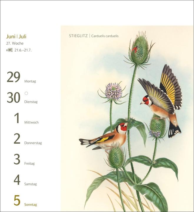 Produktbild Harenberg Vögel Postkartenkalender 2026 - Postkartenkalender mit 53 historischen Zeichnungen (Harter Einband, Deutsch)