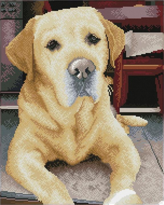 Diamond Dotz Squares Original Diamond Painting Set Labrador "KING“ 40 x 50 cm, 28.200 quadratische